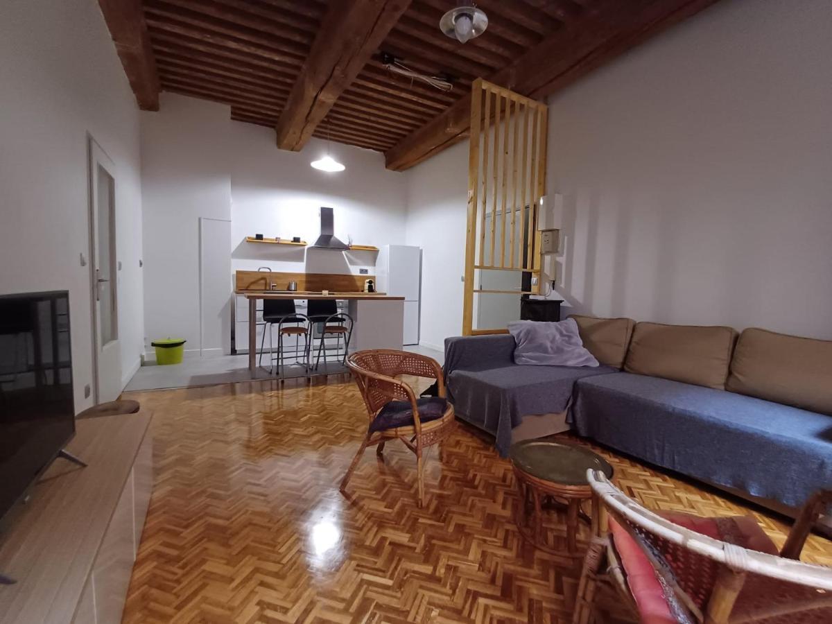 Appartamento Old Town - Vieux -50 M2 Flat Lione